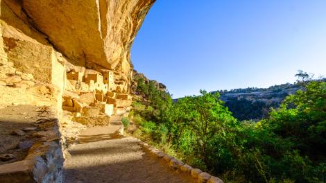 Exploring Cliff Palace, the largest ancient cliff dwelling with 150 rooms Exploring Cliff Palace, the largest ancient cliff dwelling with 150 rooms