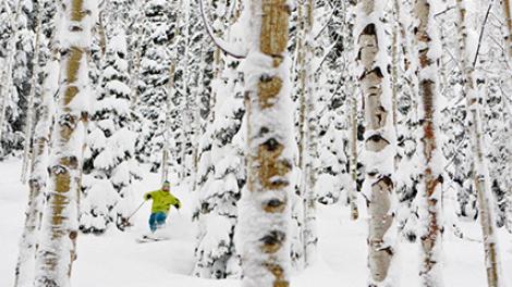 Ski Utah: Winter Sports Heaven Ski Utah: Winter Sports Heaven