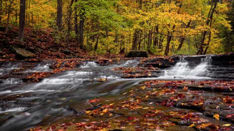 Cascading water and fall foliage on the Brandywine Creek trail Cascading water and fall foliage on the Brandywine Creek trail