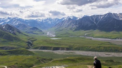 Looking out over Denali National Park Looking out over Denali National Park