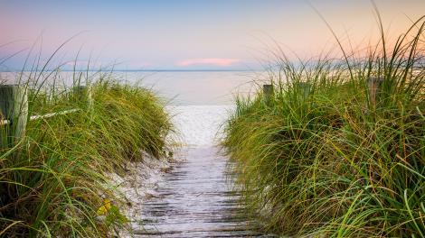 It’s time to go to the beach! It’s time to go to the beach!