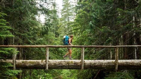 Crossing a log bridge through a rainforest along the Quinault Trail Crossing a log bridge through a rainforest along the Quinault Trail