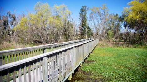 Natural beauty in Houma, Louisiana Natural beauty in Houma, Louisiana