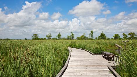 Creole Nature Trail near Lake Charles, Louisiana Creole Nature Trail near Lake Charles, Louisiana