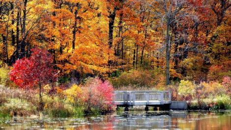萊克縣火紅的秋季 萊克縣火紅的秋季