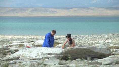 Dinosaur fossil dig along the Dinosaur Trail in Montana Dinosaur fossil dig along the Dinosaur Trail in Montana