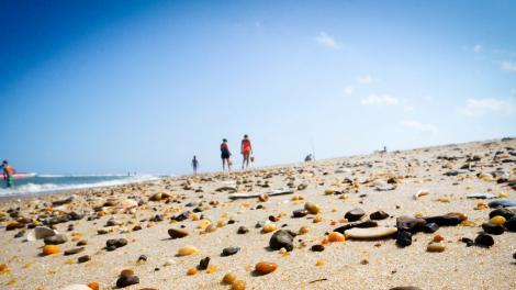 Wandering a stretch of beach in search of beautiful seashells and rocks Wandering a stretch of beach in search of beautiful seashells and rocks