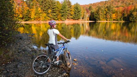 Enjoy the Best of Vermont With a Fall Foliage Trip Enjoy the Best of Vermont With a Fall Foliage Trip