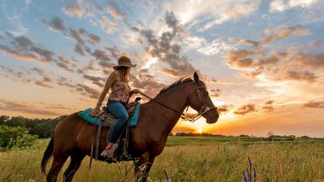 騎馬探索 Circle S 牧場 騎馬探索 Circle S 牧場