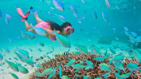 Snorkeling in Tumon Bay Snorkeling in Tumon Bay