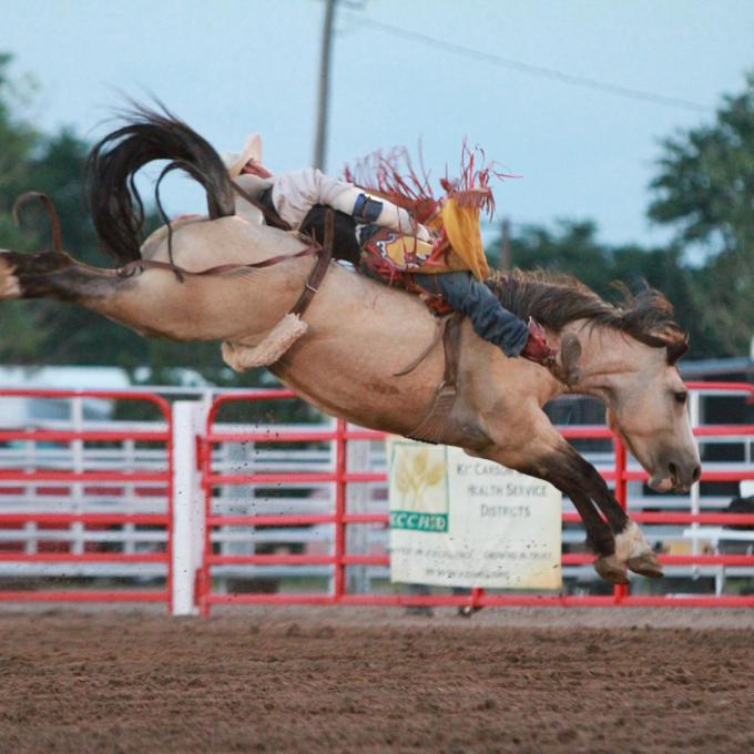 Master rider Kit Carson shows off his bronc-riding skills Master rider Kit Carson shows off his bronc-riding skills
