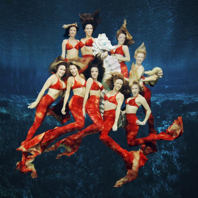 Over the past 60 years, more than 1,500 women have performed as mermaids in Weeki Wachee’s mermaid show. Over the past 60 years, more than 1,500 women have performed as mermaids in Weeki Wachee’s mermaid show.