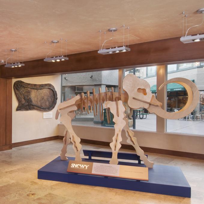 Display at The Ice Age Discovery Center in Snowmass Village Display at The Ice Age Discovery Center in Snowmass Village