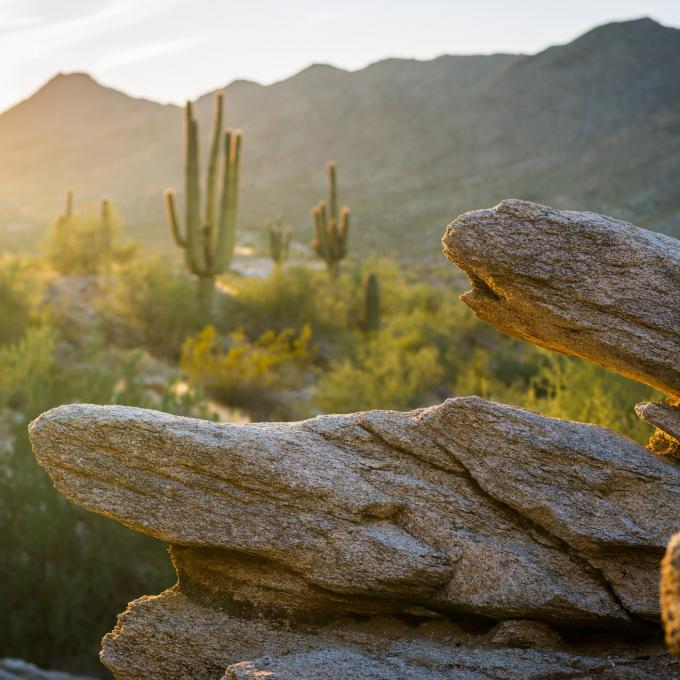 鳳凰城南山公園是全美最大的城市公園。 鳳凰城南山公園是全美最大的城市公園。