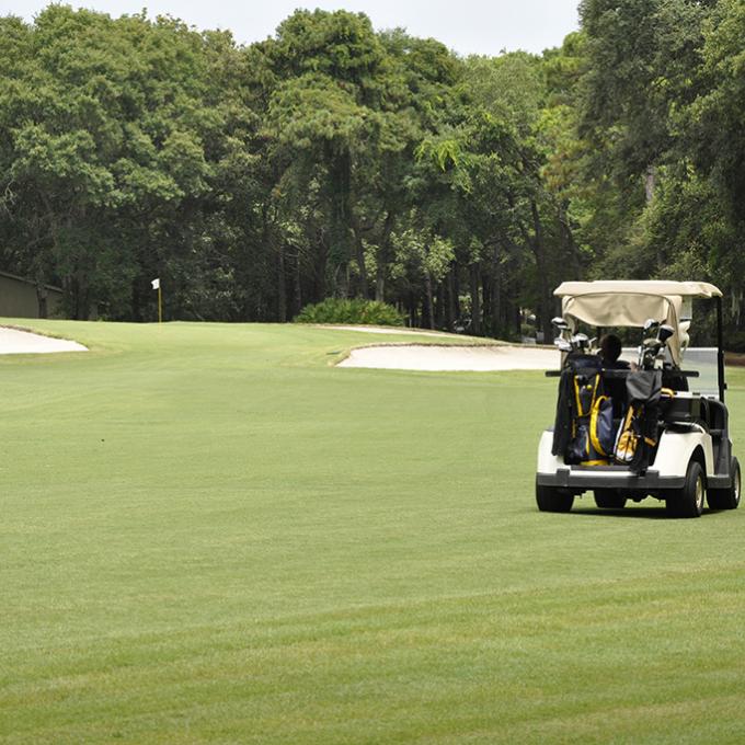 Golf course in Hilton Head Island Golf course in Hilton Head Island