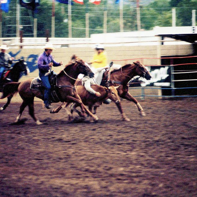 The World’s Oldest Rodeo rides again The World’s Oldest Rodeo rides again