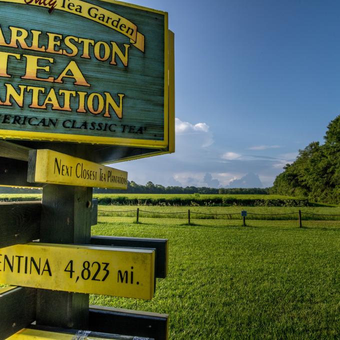 Signage at Charleston Tea Plantation on Wadmalaw Island, South Carolina Signage at Charleston Tea Plantation on Wadmalaw Island, South Carolina