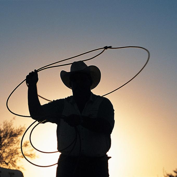 Silhouette of a roper at Arizona Cowboy College in Scottsdale Silhouette of a roper at Arizona Cowboy College in Scottsdale