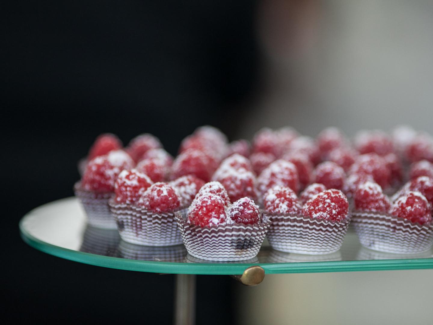 千禧公園的芝加哥美食慶典上的美食盛宴 千禧公園的芝加哥美食慶典上的美食盛宴