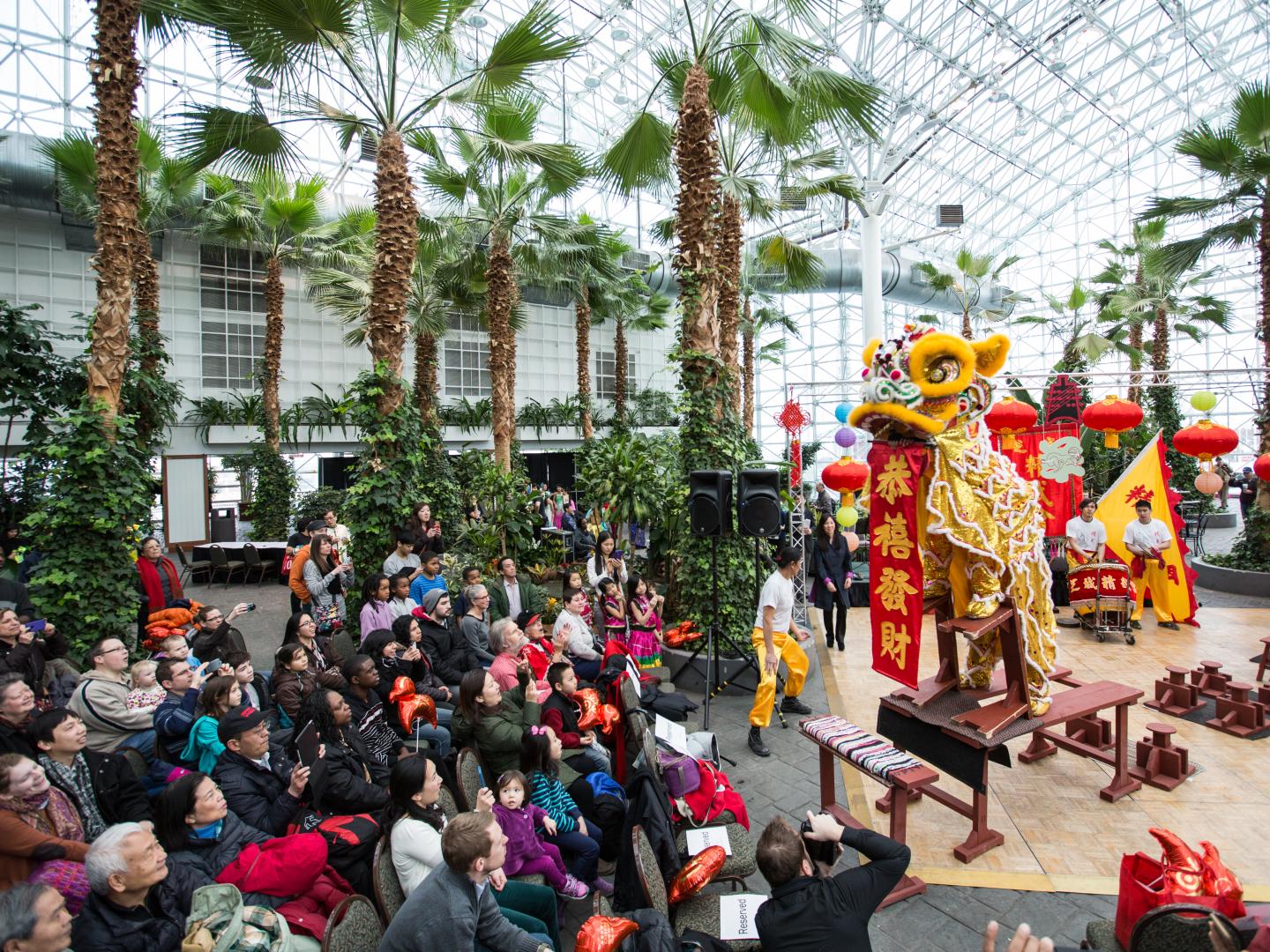 海軍碼頭舉辦的農曆新年元宵節慶典 海軍碼頭舉辦的農曆新年元宵節慶典