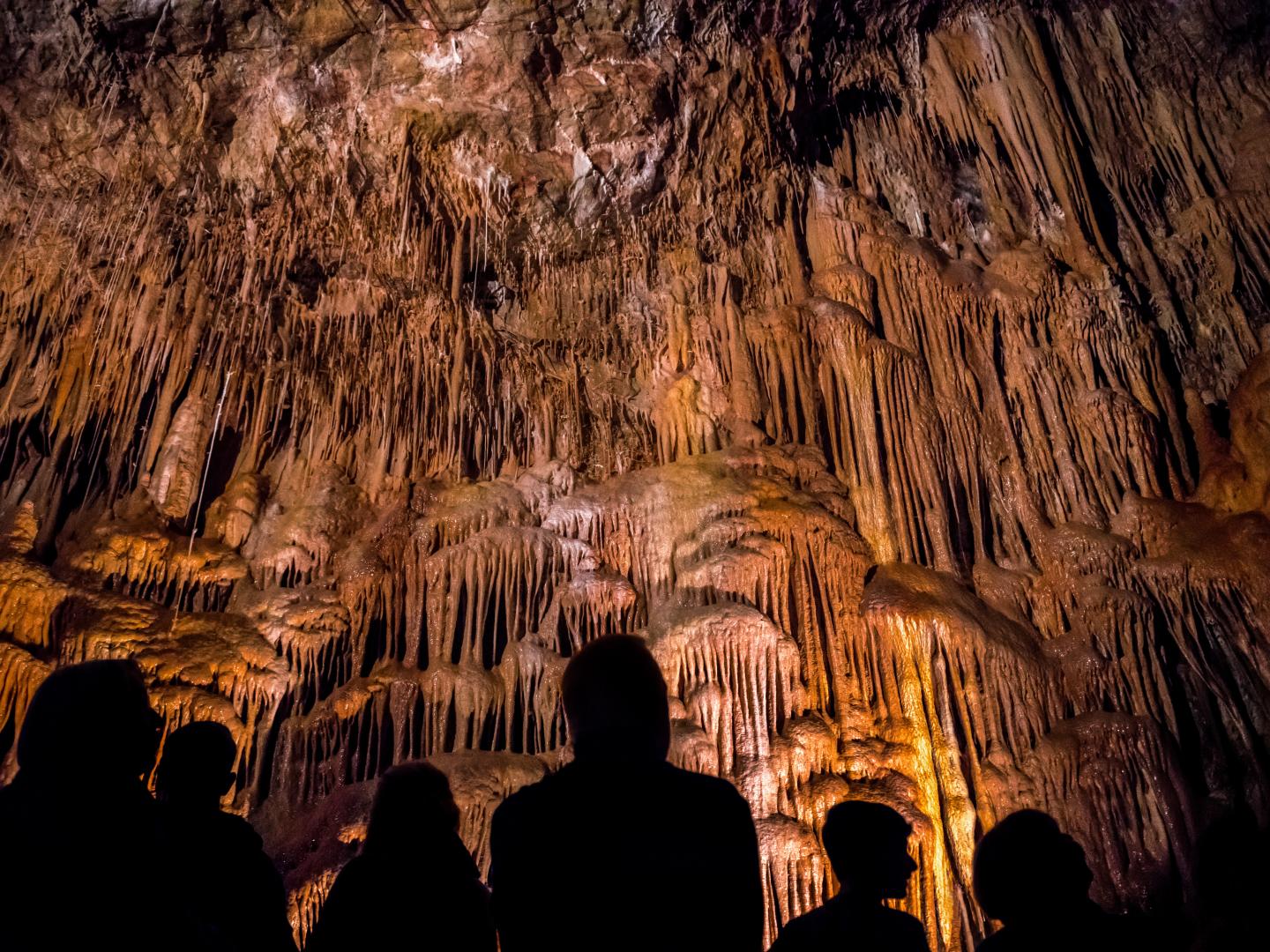 在奇里卡瓦國家紀念區健行 在奇里卡瓦國家紀念區健行