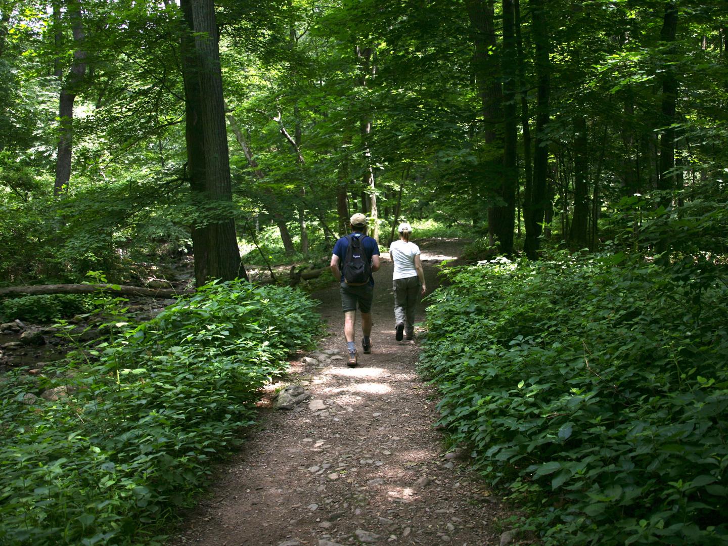Couple hiking on the Appalachian Trail in New Jersey  Couple hiking on the Appalachian Trail in New Jersey