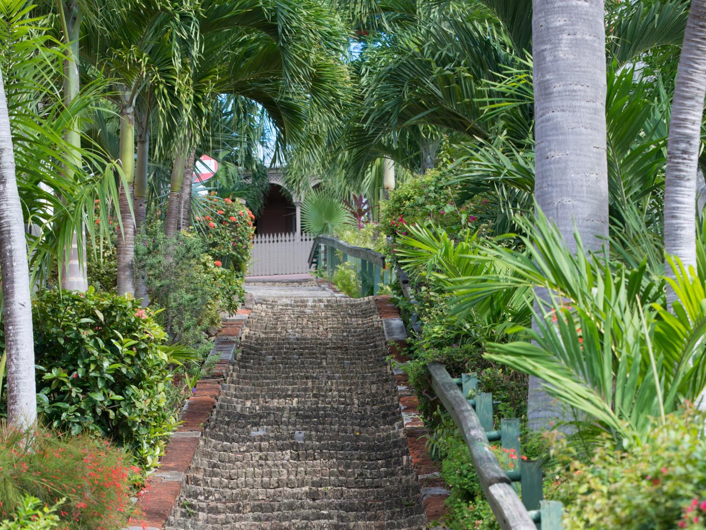 The 99 Steps of Charlotte Amalie in St. Thomas  The 99 Steps of Charlotte Amalie in St. Thomas