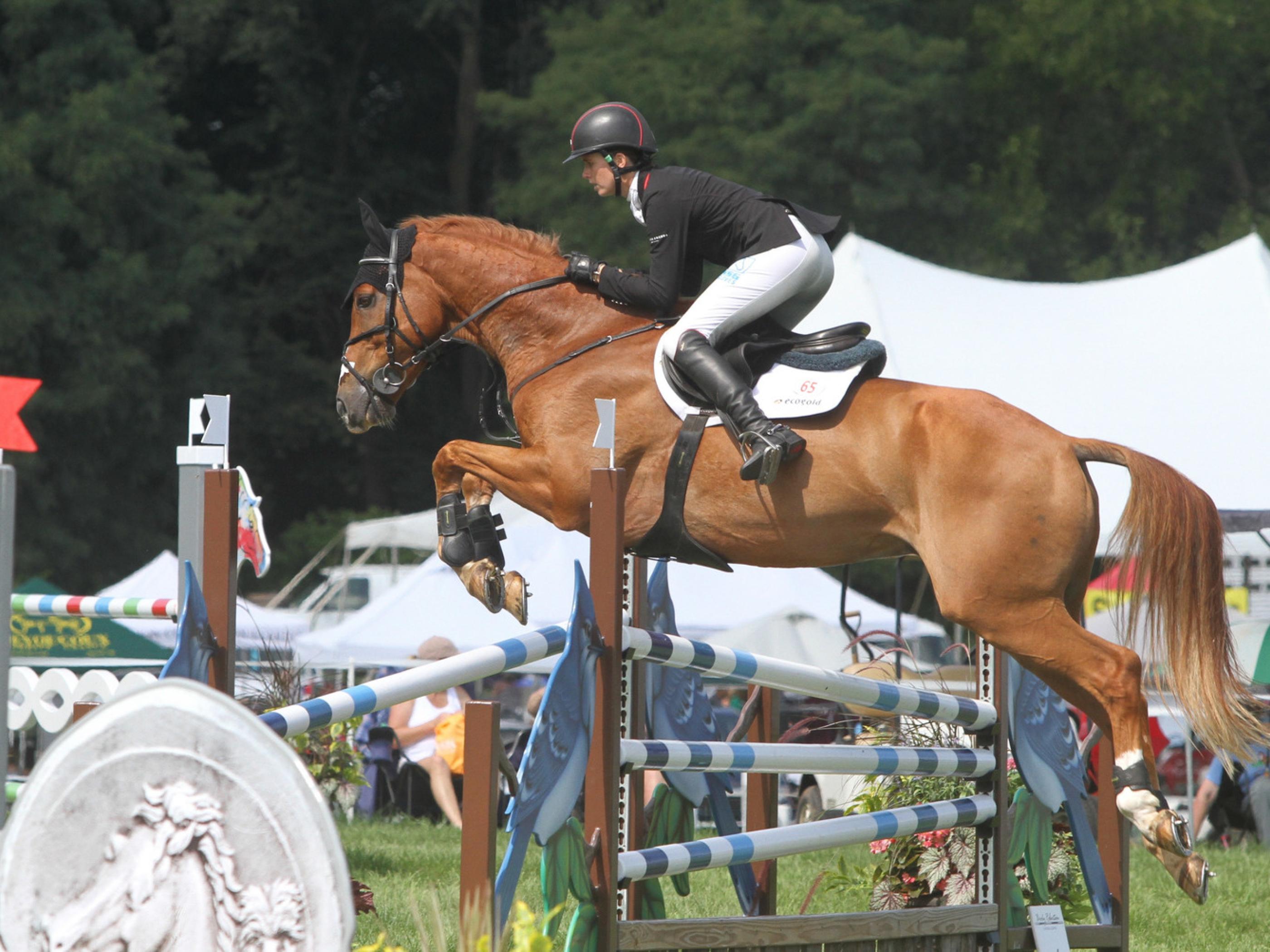 Soaring through the air during Richland Park Horse Trials Soaring through the air during Richland Park Horse Trials