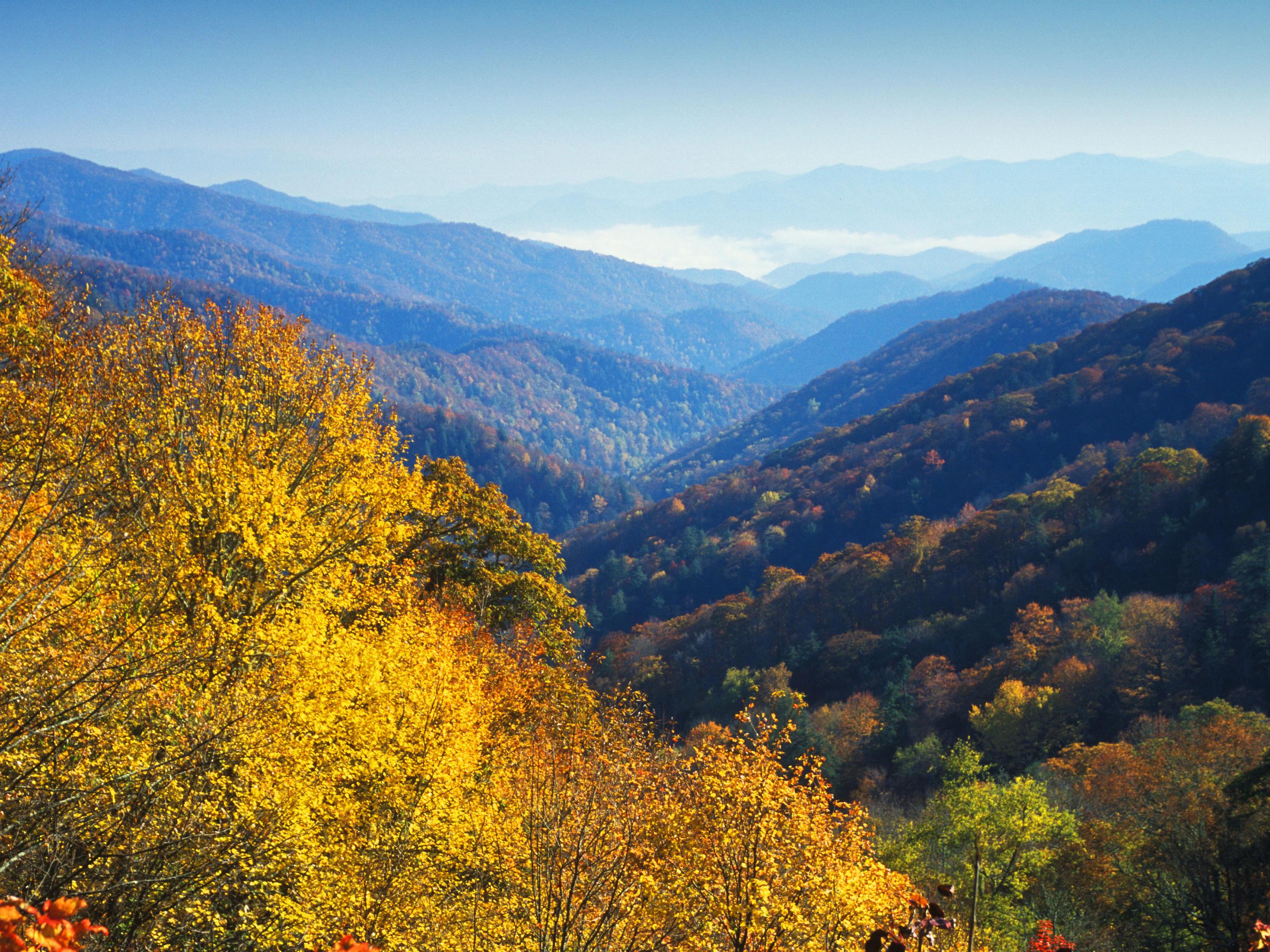Fall colors at Newfound Gap in the Great Smoky Mountains Fall colors at Newfound Gap in the Great Smoky Mountains