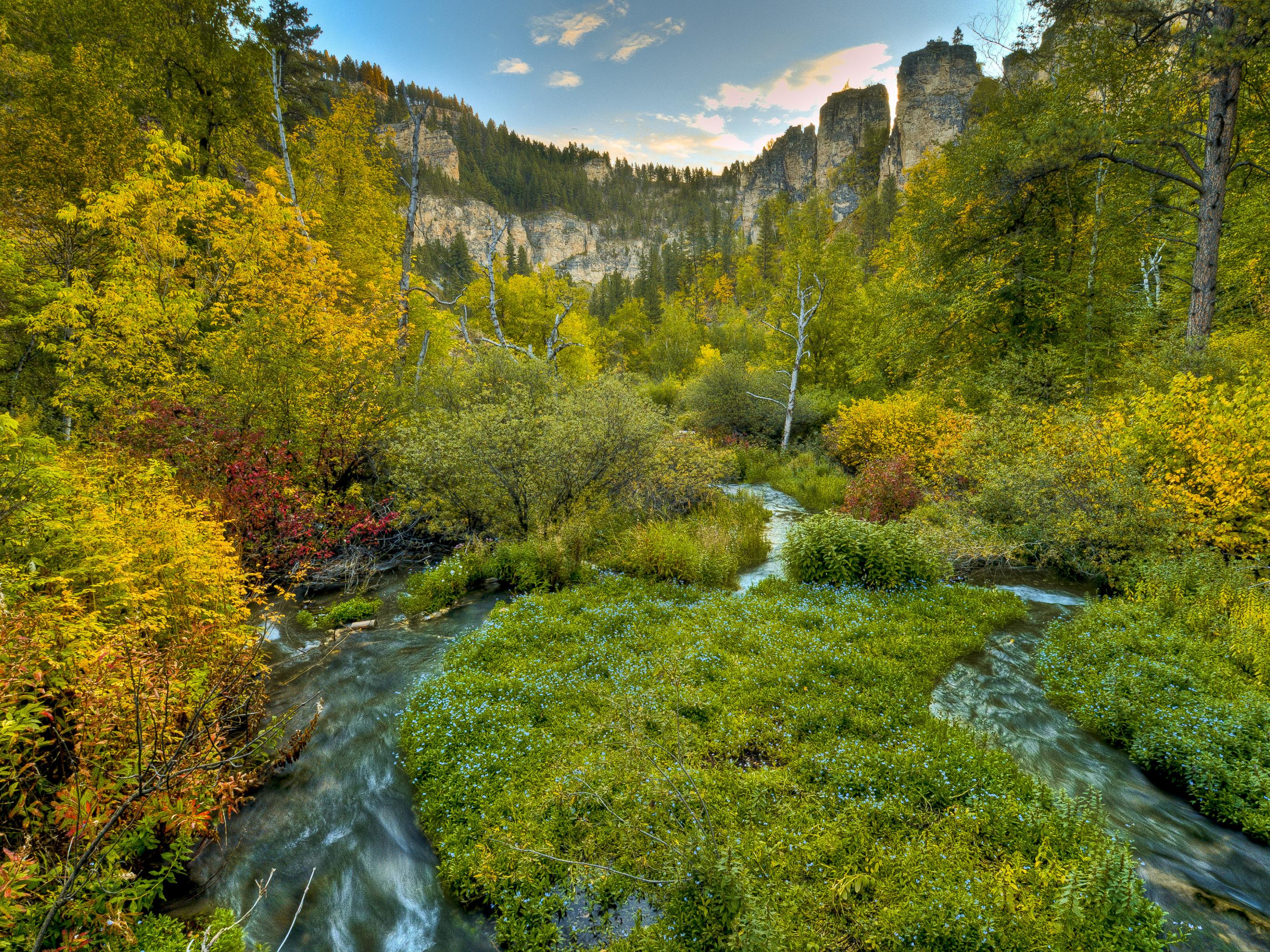 Spearfish Canyon’s jagged streams Spearfish Canyon’s jagged streams