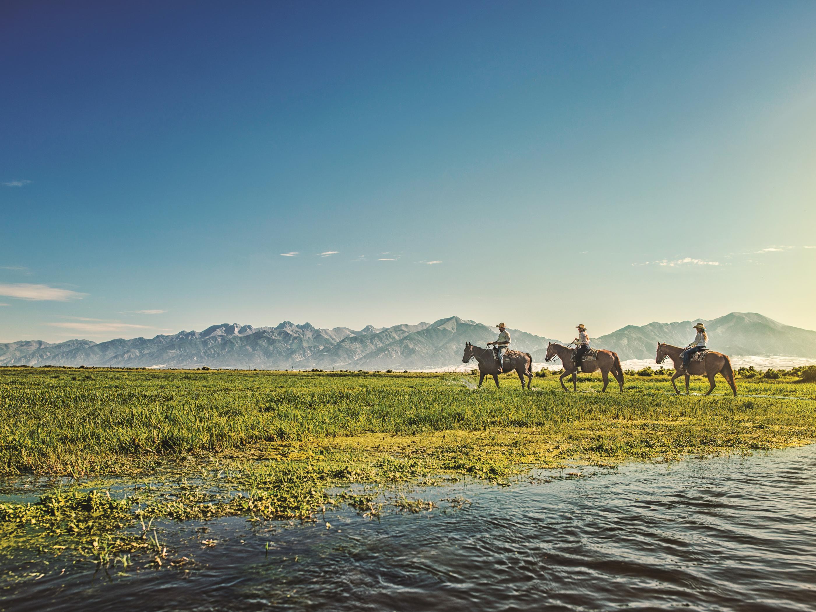 8. Stepping lively through Zapata Ranch’s watery grounds 8. Stepping lively through Zapata Ranch’s watery grounds