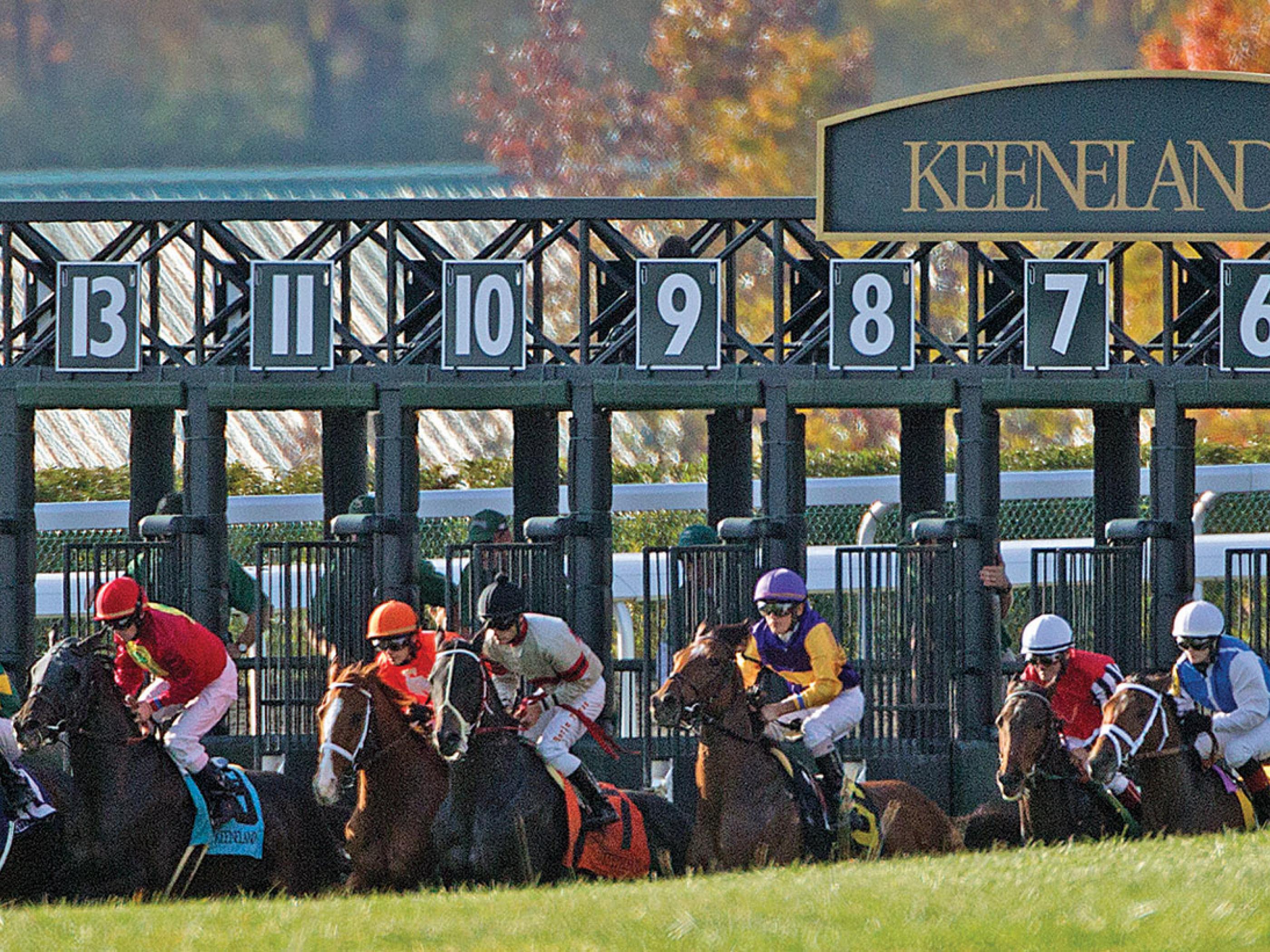 The starting gate at Keeneland The starting gate at Keeneland