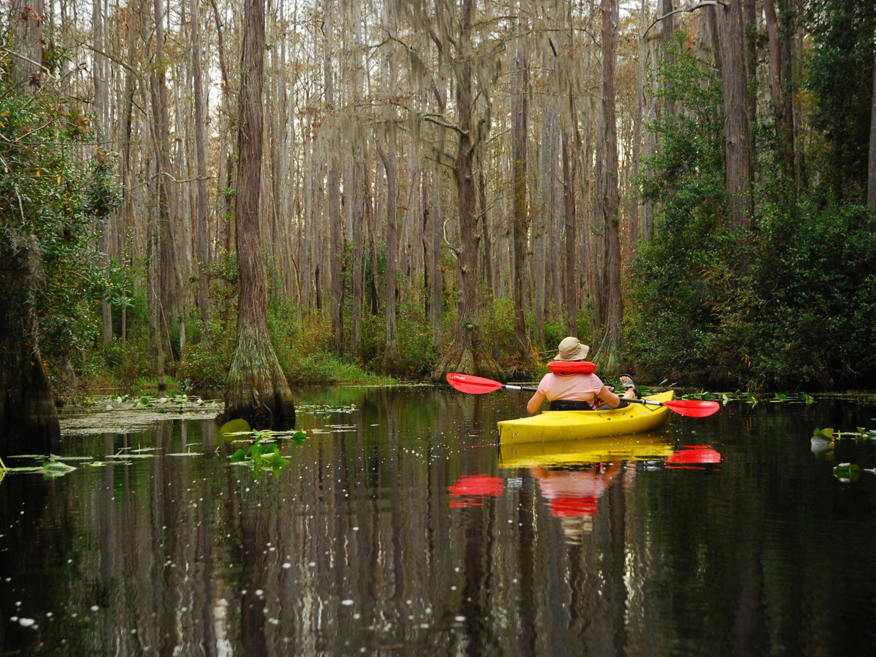 Okefenokee National Wildlife Refuge Okefenokee National Wildlife Refuge