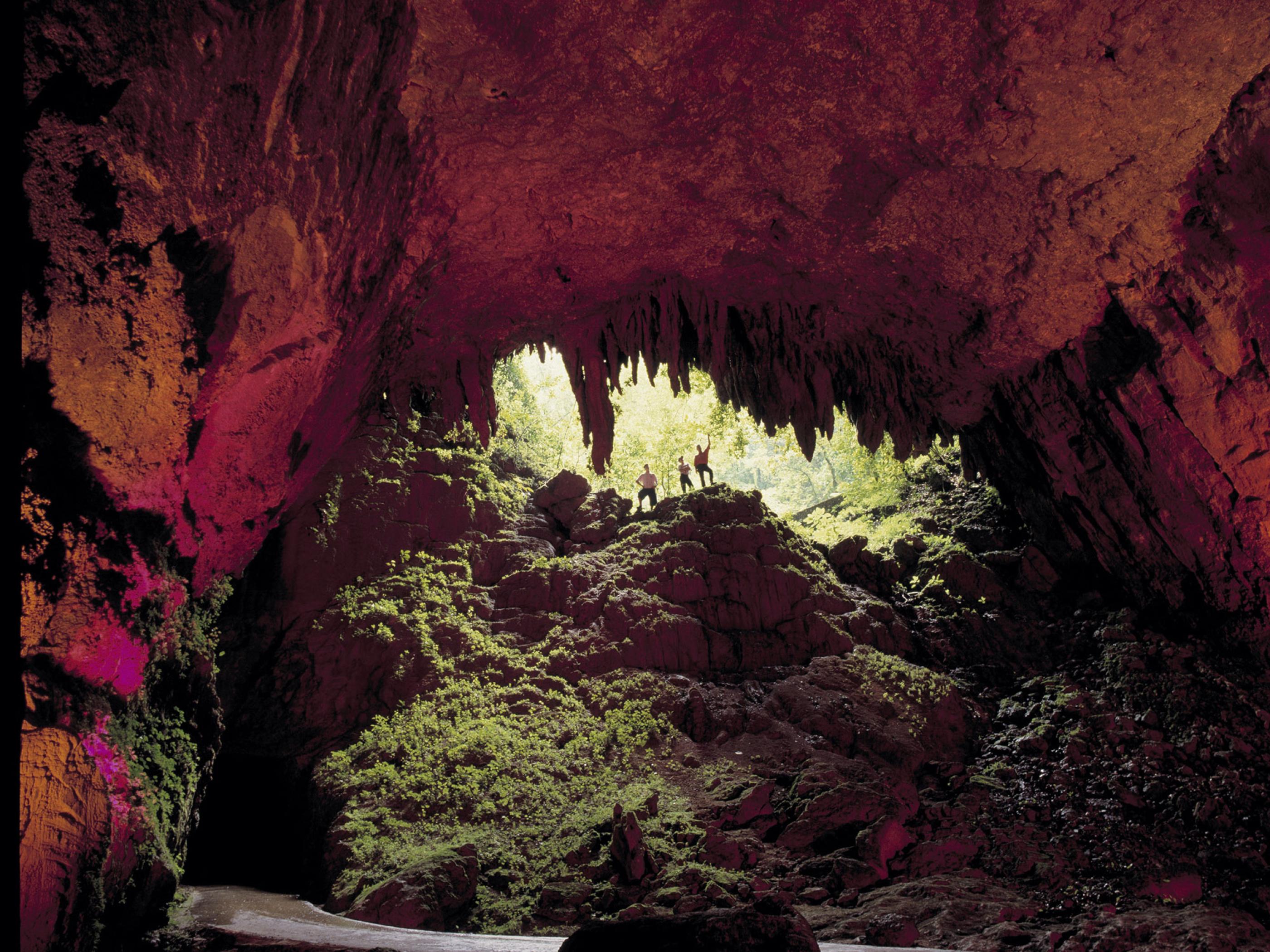Río Camuy Cave Park Río Camuy Cave Park