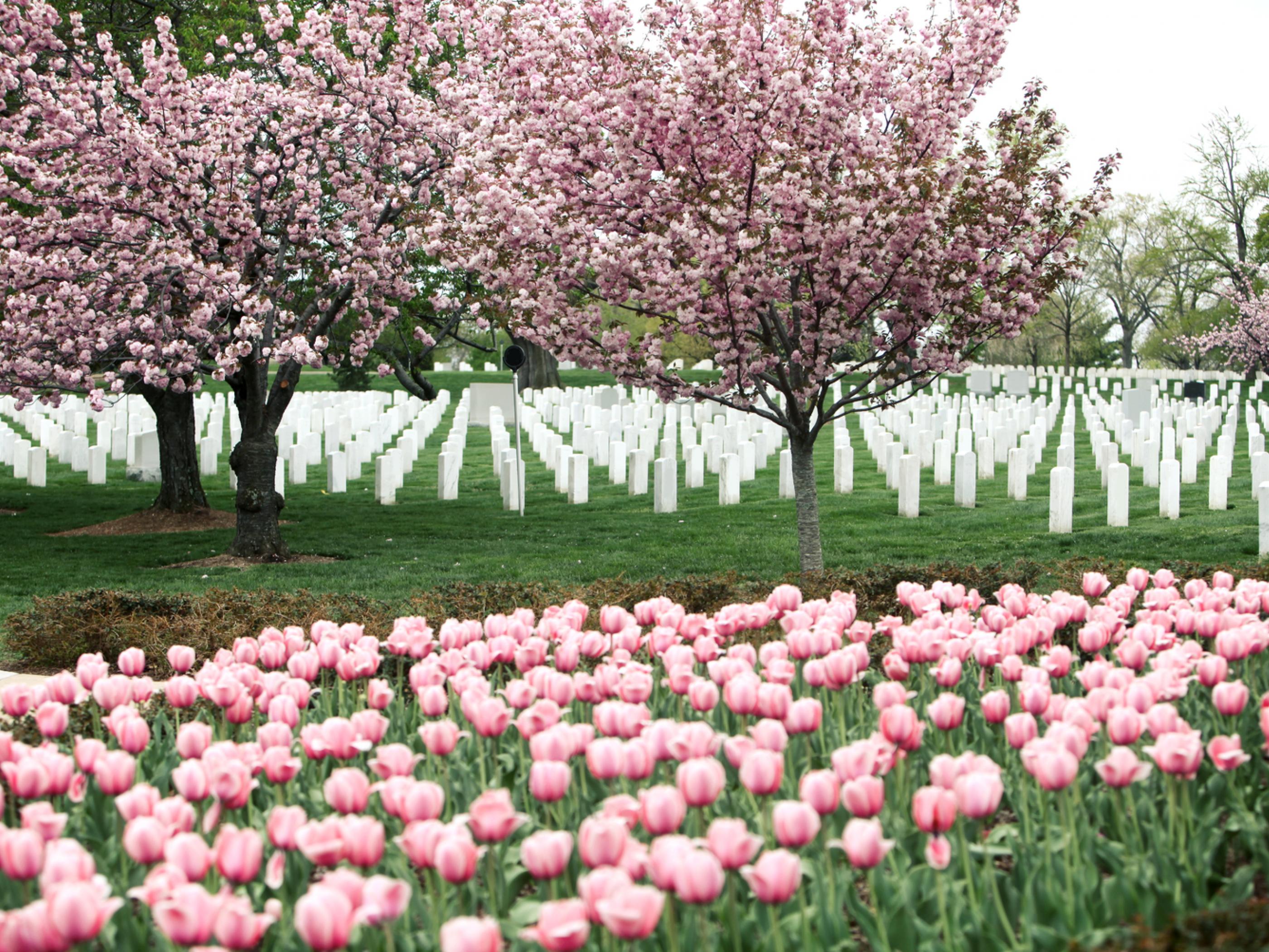 Arlington National Cemetery Arlington National Cemetery