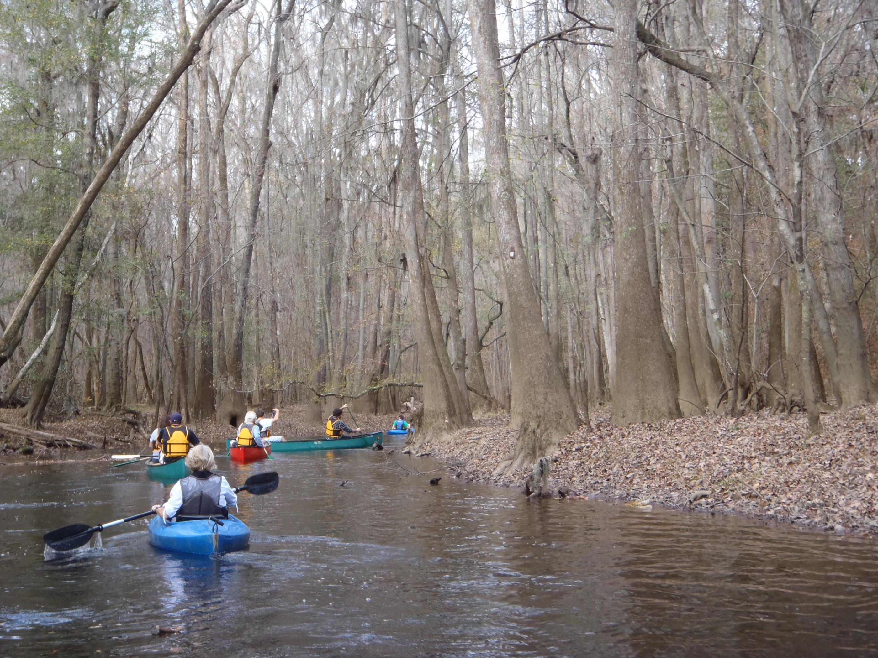Kayaking in Congaree National Park Kayaking in Congaree National Park