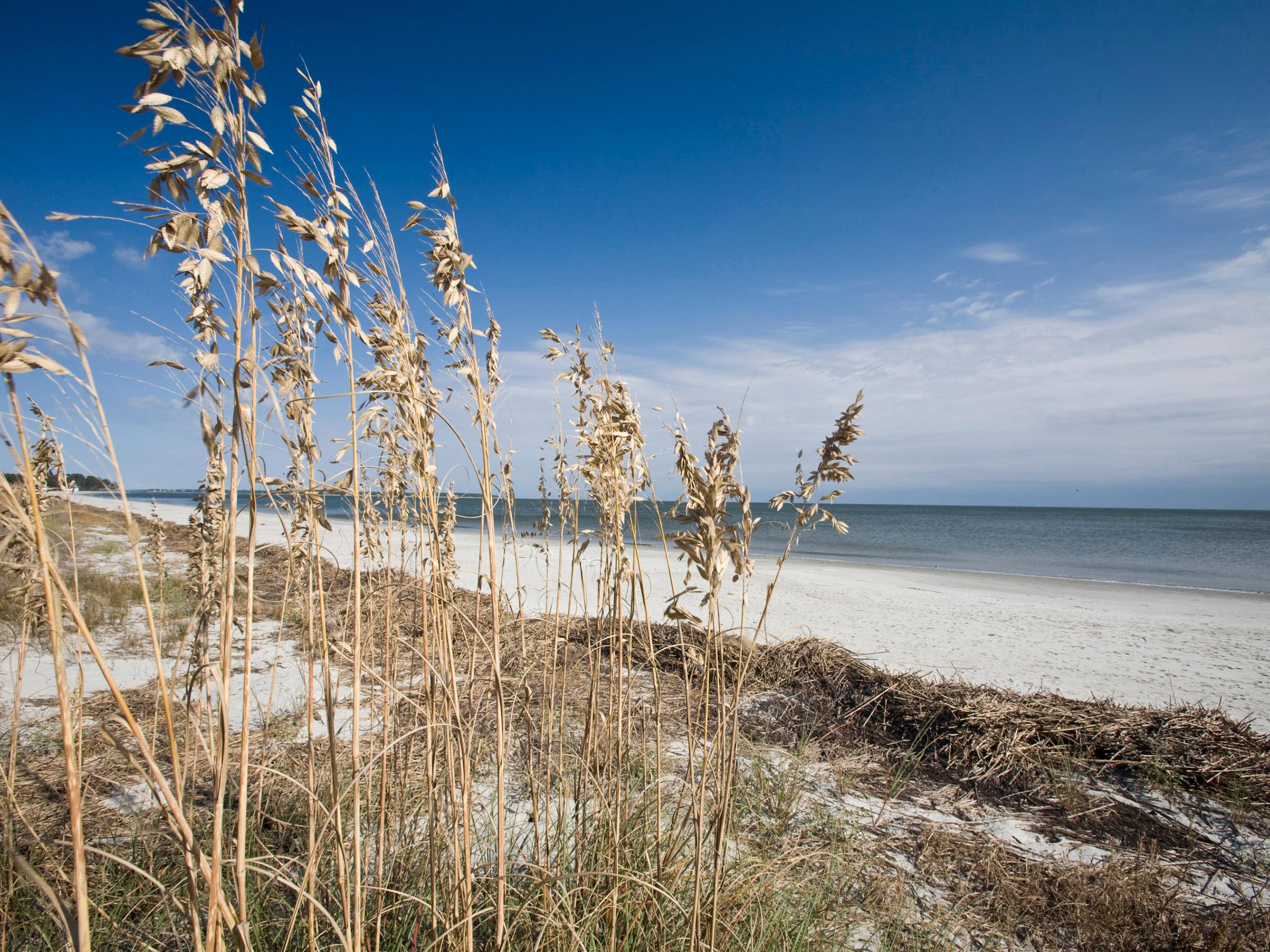 Beach view from one of South Carolina's Sea Islands Beach view from one of South Carolina's Sea Islands