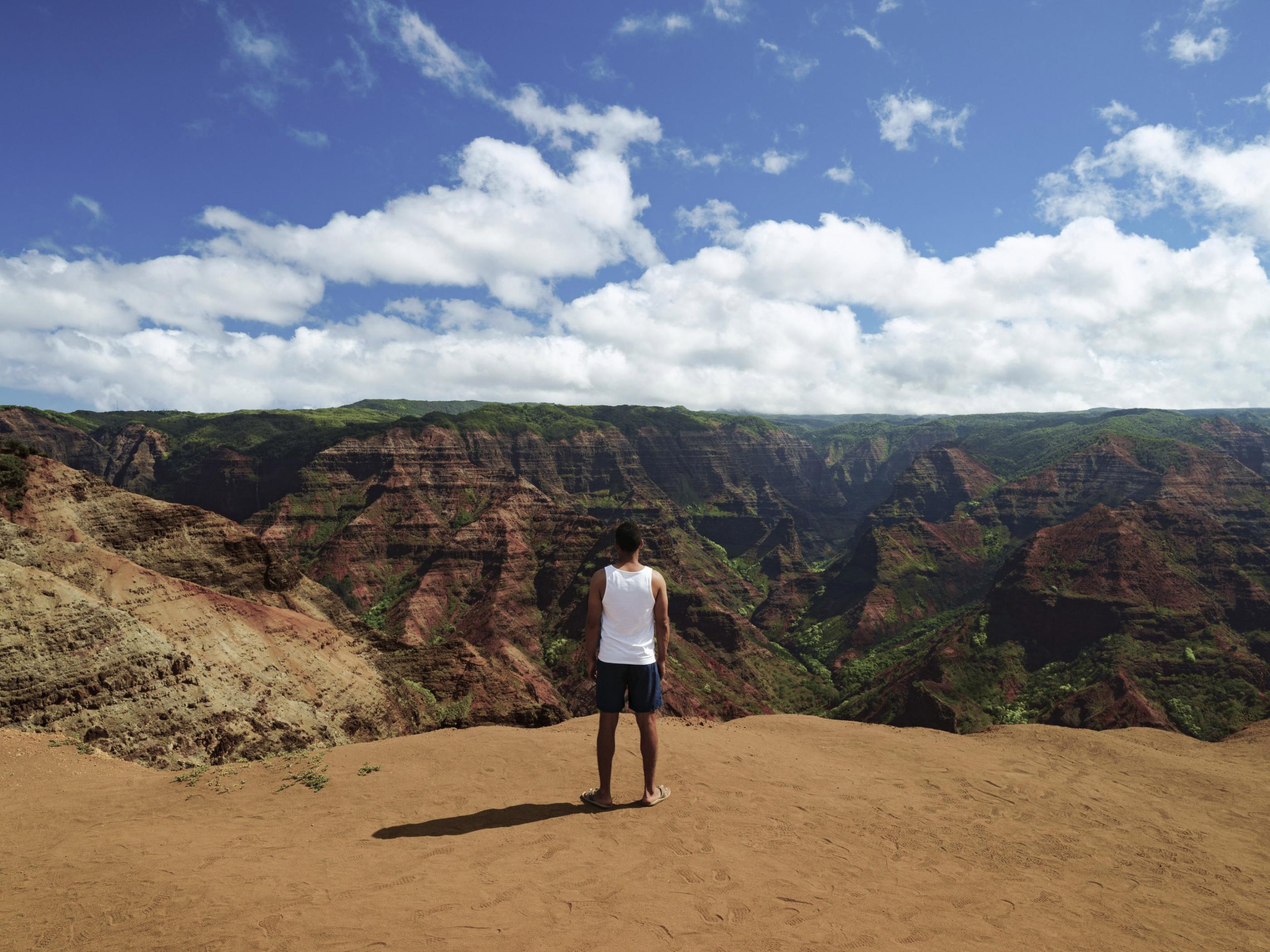 Looking over Waimea Canyon on Kauai Looking over Waimea Canyon on Kauai