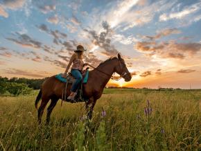 騎馬探索 Circle S 牧場 騎馬探索 Circle S 牧場