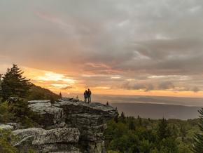 花團錦簇的樹木與歷史悠久的薛普爾城宅邸 花團錦簇的樹木與歷史悠久的薛普爾城宅邸