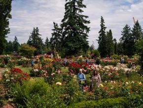 Live band entertaining a downtown crowd Live band entertaining a downtown crowd