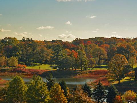 Fall color lights up Round Meadow Lake Fall color lights up Round Meadow Lake