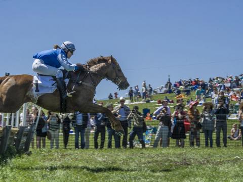 Horse jumping event at Point-to-Point at Winterthur in Wilmington, Delaware Horse jumping event at Point-to-Point at Winterthur in Wilmington, Delaware