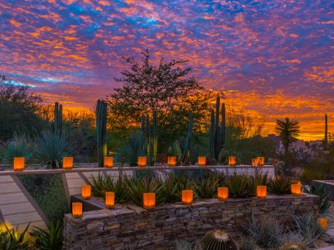 Illuminated luminarias at sunset during Las Noches de las Luminarias in Scottsdale, Arizona Illuminated luminarias at sunset during Las Noches de las Luminarias in Scottsdale, Arizona