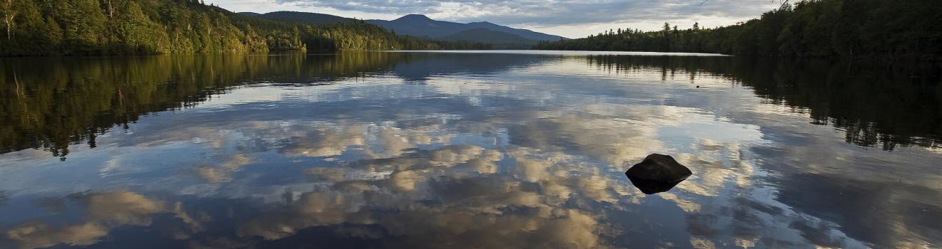 在紐約州的富蘭克林瀑布池塘眺望藍山 在紐約州的富蘭克林瀑布池塘眺望藍山