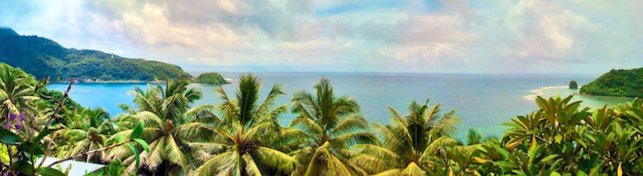 Palm trees at Le Falepule on Tutuila Palm trees at Le Falepule on Tutuila