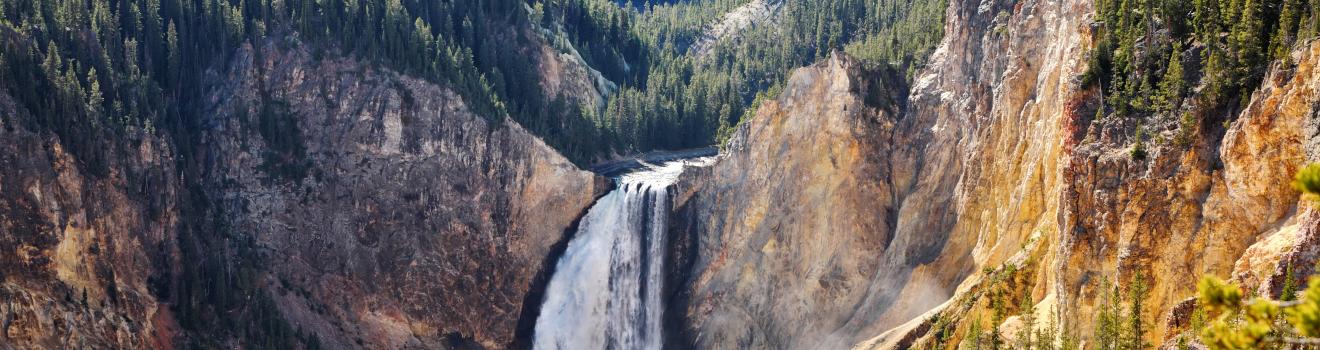 Yellowstone Falls cuts through the landscape of the national park Yellowstone Falls cuts through the landscape of the national park