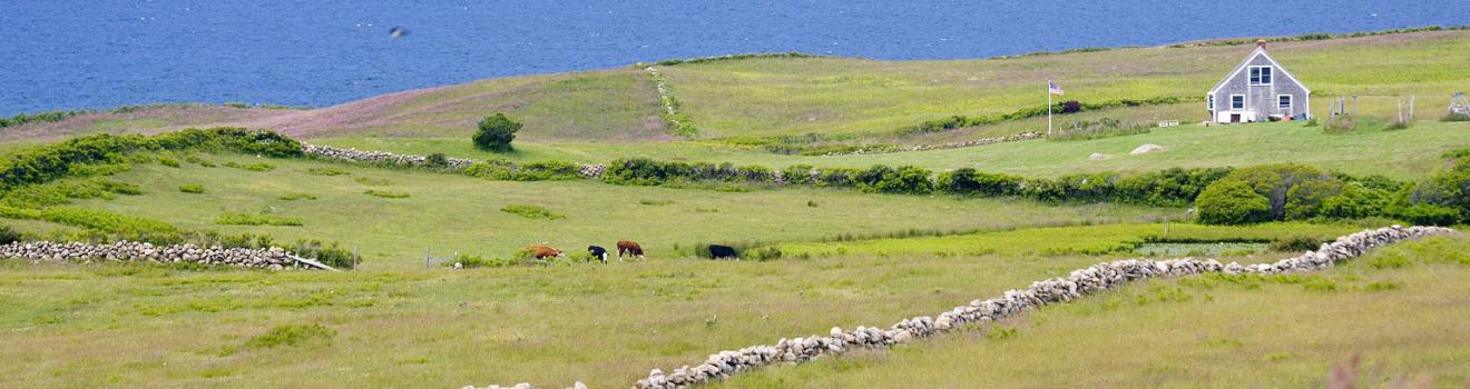 Farmlands leading to the coast on Block Island, Rhode Island Farmlands leading to the coast on Block Island, Rhode Island