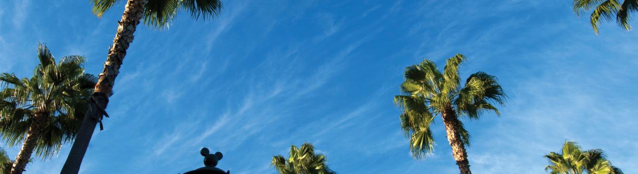 Palm trees and blue skies in Anaheim, California Palm trees and blue skies in Anaheim, California