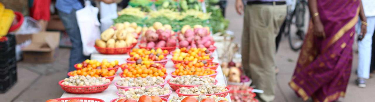 Browsing produce at the Bloomington Farmers Market Browsing produce at the Bloomington Farmers Market